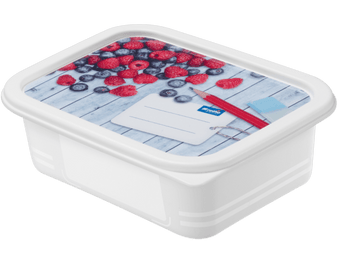 Rotho - Domino Deep Freezer Box - Berries - Plastic - 0.5 Lit - 52000263