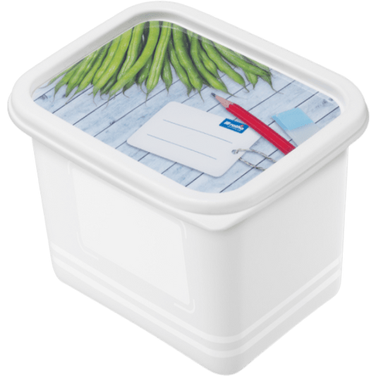 Rotho - Domino Deep Freezer Box - Beans - Plastic - 0.75 Lit - 52000264