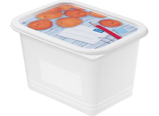 Rotho - Domino Deep Freezer Box - Peaches - Plastic - 1 Lit - 52000265