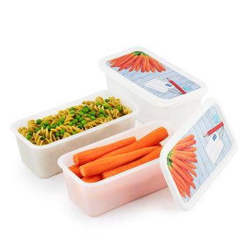 Rotho - Domino Deep Freezer Box - Carrots - Plastic - 1.2 Lit - 52000266