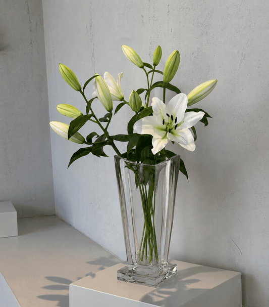 Glass Vase - Clear - 28x14cm