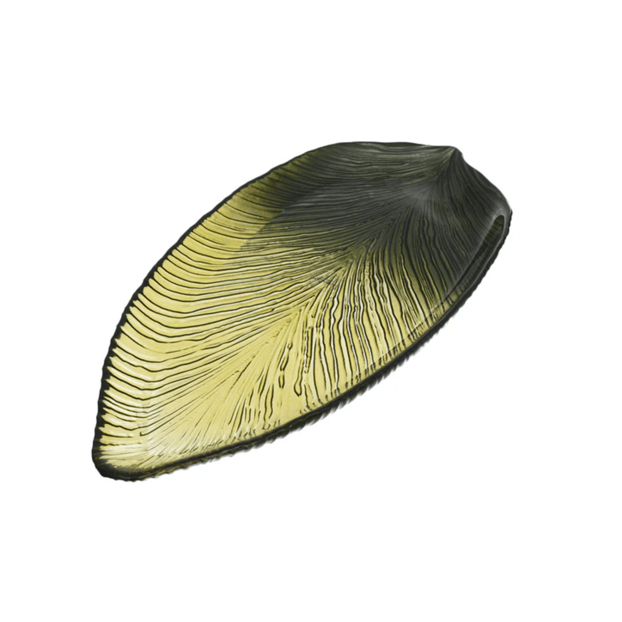 ArdaCam - Leaf Plate 30 x 14 x 2 cm Green Shaded