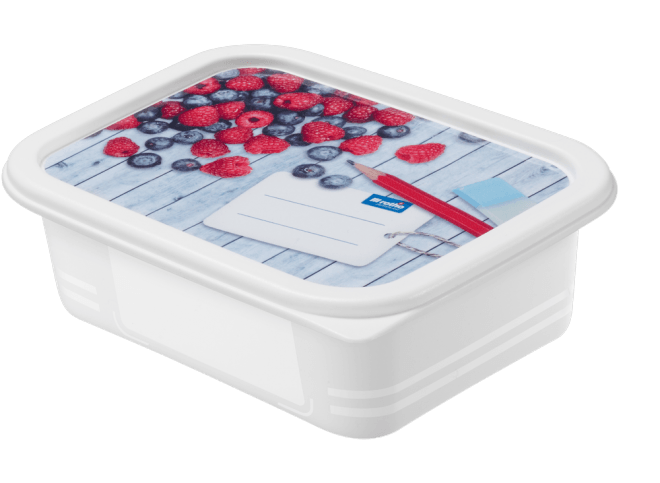 Rotho - Domino Deep Freezer Box - Berries - Plastic - 0.5 Lit - 52000263