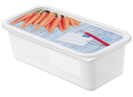 Rotho - Domino Deep Freezer Box - Carrots - Plastic - 1.2 Lit - 52000266
