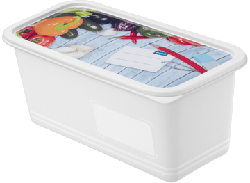 Rotho - Domino Deep Freezer Box - Vegetables - Plastic - 1.5 Lit - 52000267