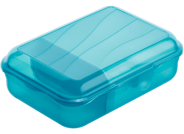 Rotho - Fun Snack Box - Blue - Plastic - 0.9 Lit - 52000298